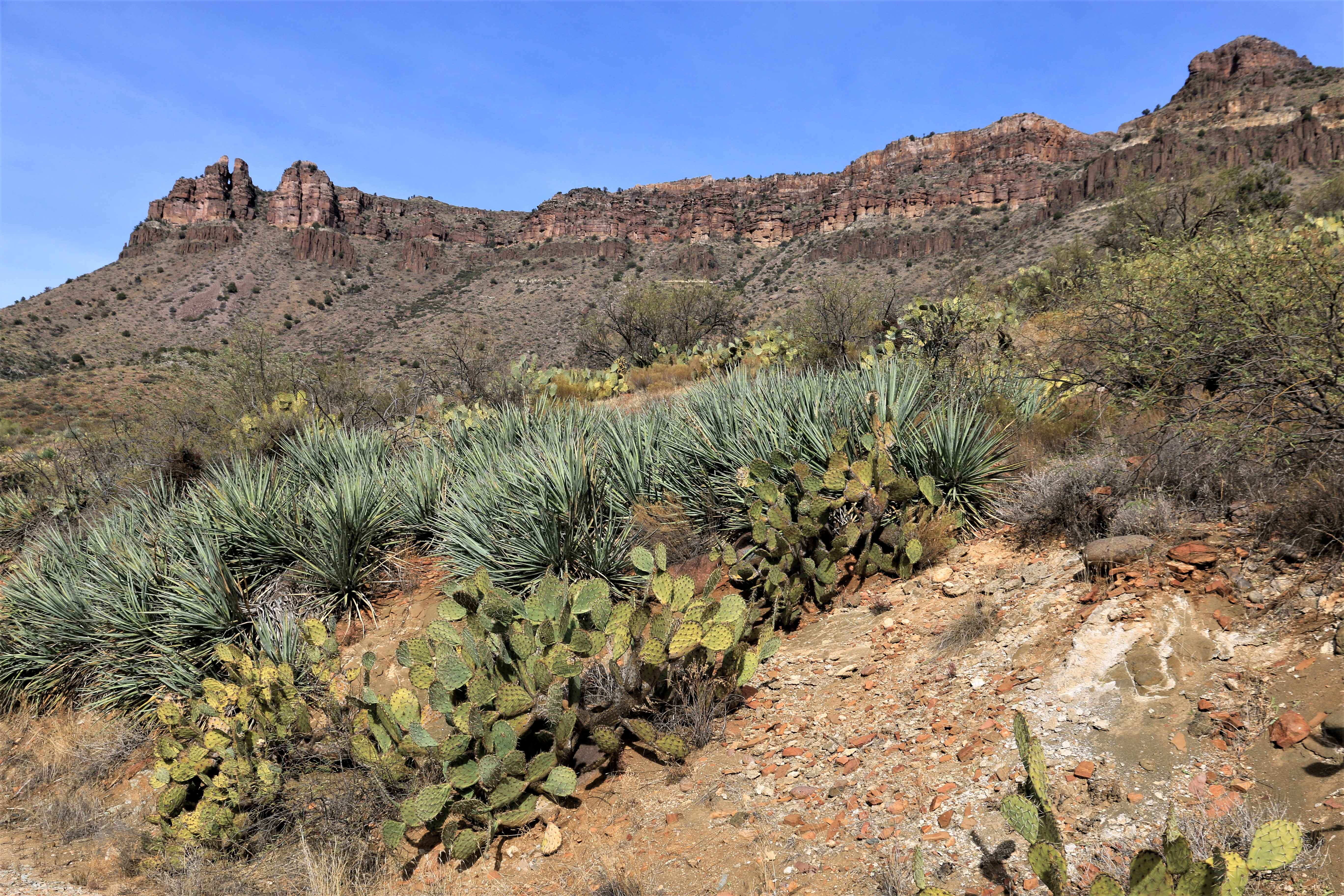 Salt River Canyon